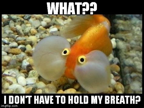 holding my breath meme|Breathe… : r/funny